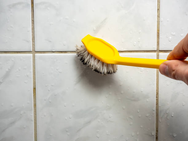 Best Home Mold Removal  in Waihee Waiehu, HI
