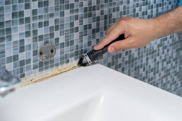 Best Black Mold Removal  in Waihee Waiehu, HI