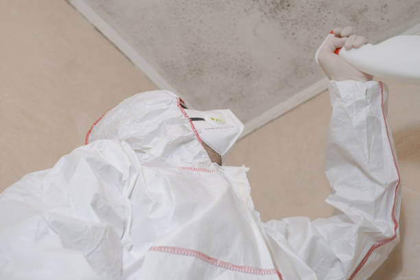 Best Mold Cleaning Services  in Waihee Waiehu, HI